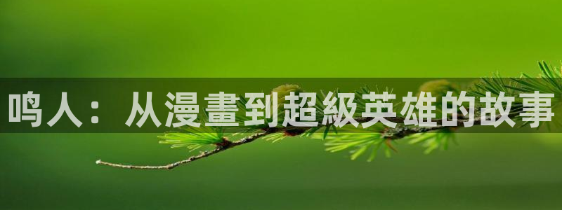 虫虫动漫免费漫画在线看：鸣人：从漫畫到超級英雄的故事
