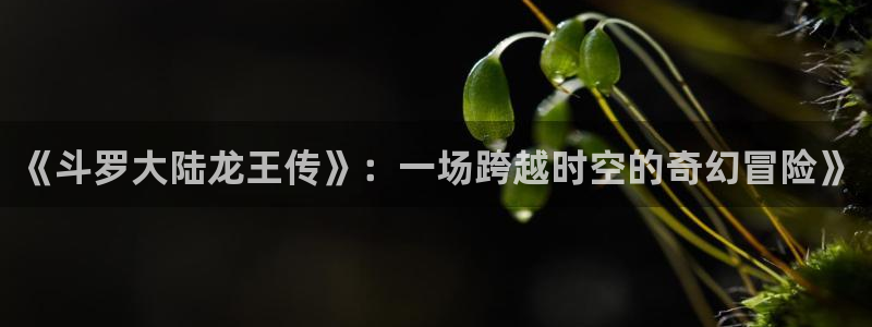 虫虫家家有哪些漫画：《斗罗大陆龙王传》：一场跨越时空的奇幻冒险》