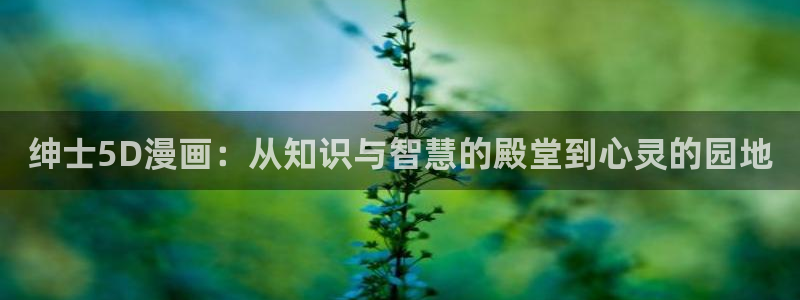 虫虫漫画免费在线观看：绅士5D漫画：从知识与智慧的殿堂到心灵的园地