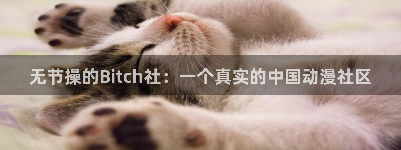 虫虫漫画的最新章节更新内容：无节操的Bitch社：一个真实的中国动漫社区
