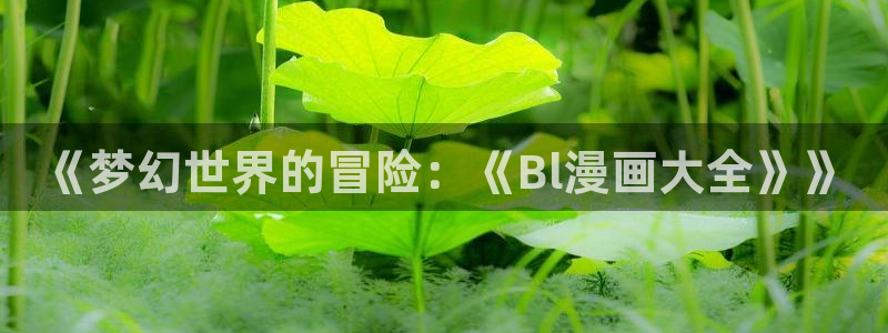 虫虫漫画免费漫画在线看下载：《梦幻世界的冒险：《Bl漫画大全》》